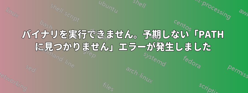 バイナリを実行できません。予期しない「PATH に見つかりません」エラーが発生しました