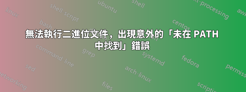 無法執行二進位文件，出現意外的「未在 PATH 中找到」錯誤