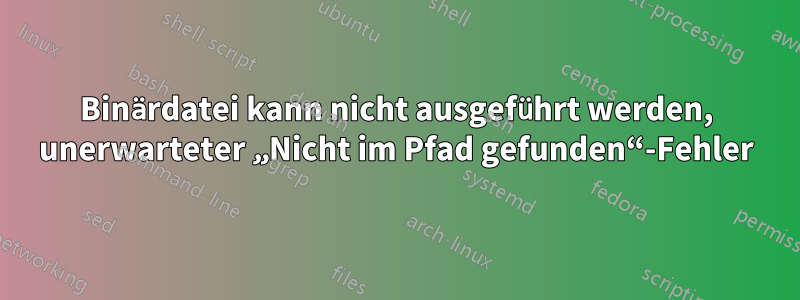 Binärdatei kann nicht ausgeführt werden, unerwarteter „Nicht im Pfad gefunden“-Fehler