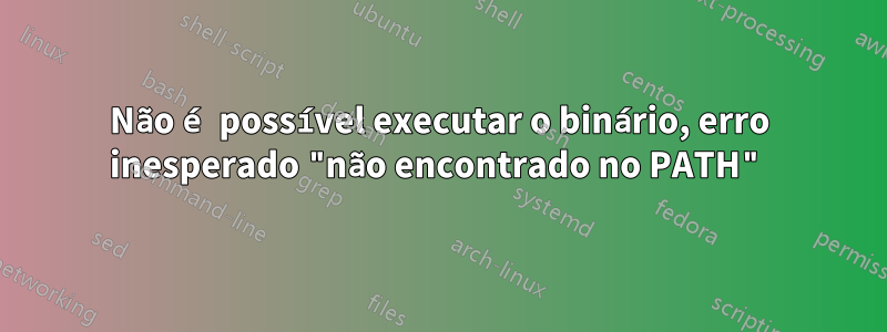 Não é possível executar o binário, erro inesperado "não encontrado no PATH"