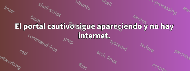 El portal cautivo sigue apareciendo y no hay internet.