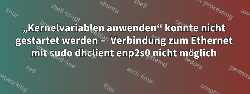 „Kernelvariablen anwenden“ konnte nicht gestartet werden – Verbindung zum Ethernet mit sudo dhclient enp2s0 nicht möglich