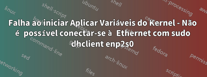 Falha ao iniciar Aplicar Variáveis ​​do Kernel - Não é possível conectar-se à Ethernet com sudo dhclient enp2s0