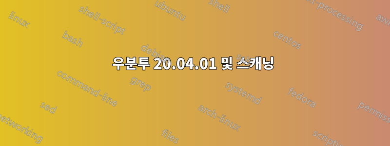 우분투 20.04.01 및 스캐닝