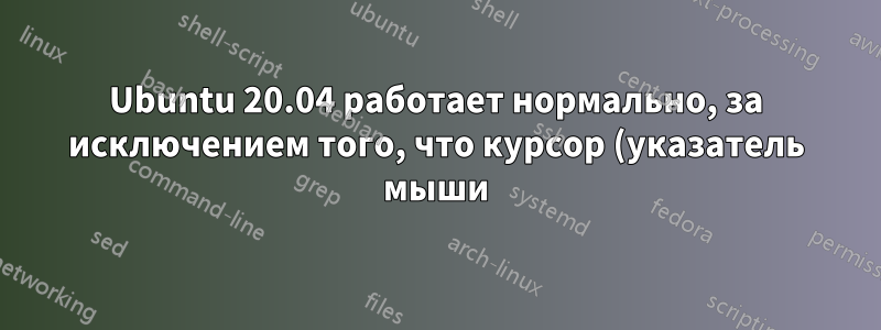 Ubuntu 20.04 работает нормально, за исключением того, что курсор (указатель мыши) мигает почти все время.