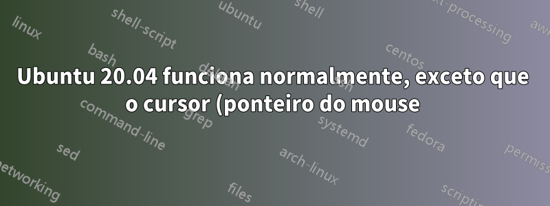 Ubuntu 20.04 funciona normalmente, exceto que o cursor (ponteiro do mouse) pisca quase o tempo todo