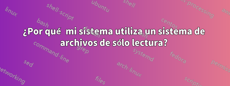 ¿Por qué mi sistema utiliza un sistema de archivos de sólo lectura?