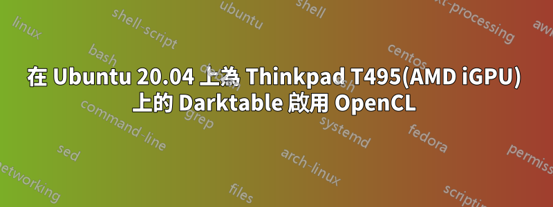 在 Ubuntu 20.04 上為 Thinkpad T495(AMD iGPU) 上的 Darktable 啟用 OpenCL