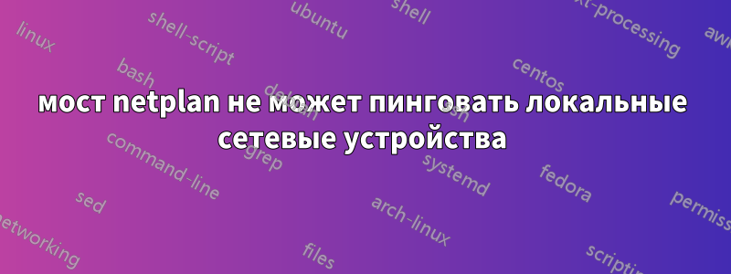 мост netplan не может пинговать локальные сетевые устройства