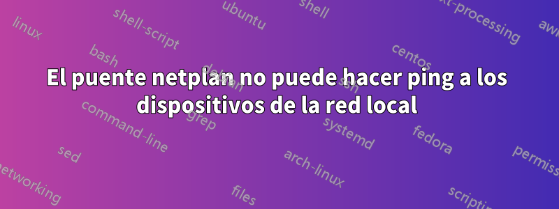 El puente netplan no puede hacer ping a los dispositivos de la red local