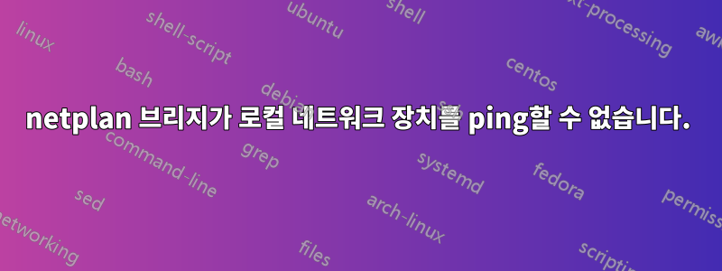 netplan 브리지가 로컬 네트워크 장치를 ping할 수 없습니다.