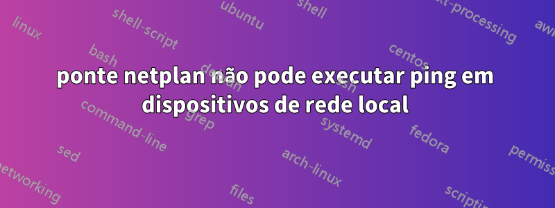 ponte netplan não pode executar ping em dispositivos de rede local