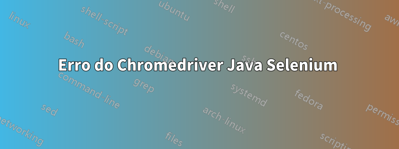 Erro do Chromedriver Java Selenium