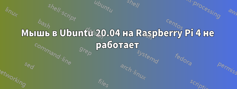 Мышь в Ubuntu 20.04 на Raspberry Pi 4 не работает