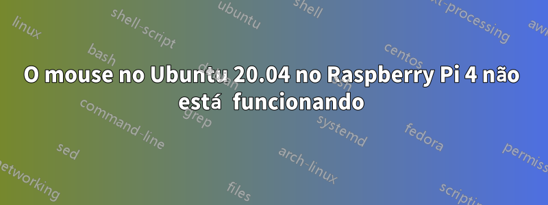 O mouse no Ubuntu 20.04 no Raspberry Pi 4 não está funcionando