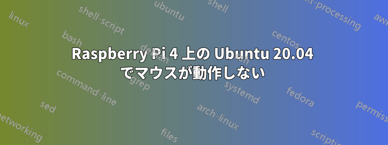 Raspberry Pi 4 上の Ubuntu 20.04 でマウスが動作しない