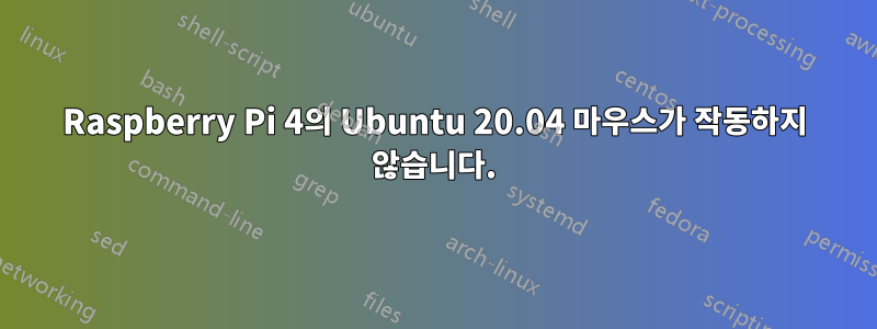 Raspberry Pi 4의 Ubuntu 20.04 마우스가 작동하지 않습니다.