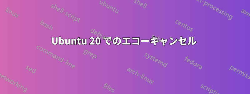 Ubuntu 20 でのエコーキャンセル