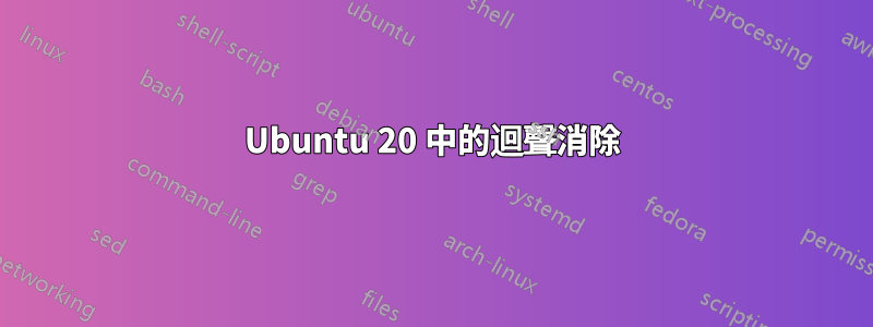 Ubuntu 20 中的迴聲消除