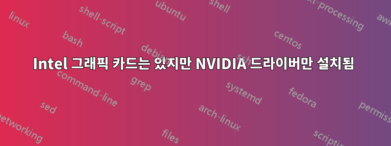 Intel 그래픽 카드는 있지만 NVIDIA 드라이버만 설치됨