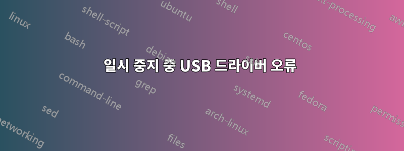 일시 중지 중 USB 드라이버 오류