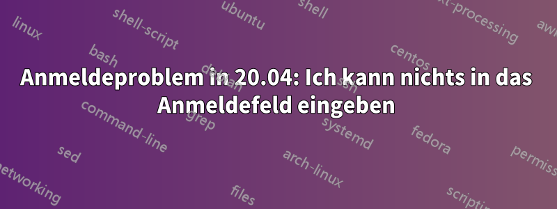 Anmeldeproblem in 20.04: Ich kann nichts in das Anmeldefeld eingeben