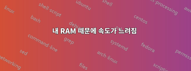 내 RAM 때문에 속도가 느려짐