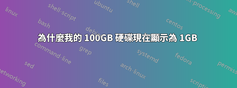 為什麼我的 100GB 硬碟現在顯示為 1GB