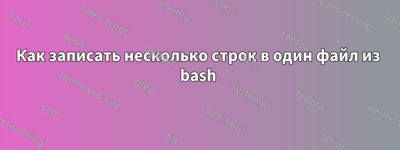 Как записать несколько строк в один файл из bash