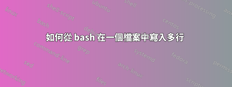 如何從 bash 在一個檔案中寫入多行