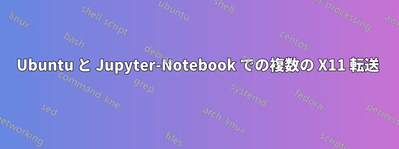 Ubuntu と Jupyter-Notebook での複数の X11 転送