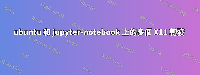 ubuntu 和 jupyter-notebook 上的多個 X11 轉發