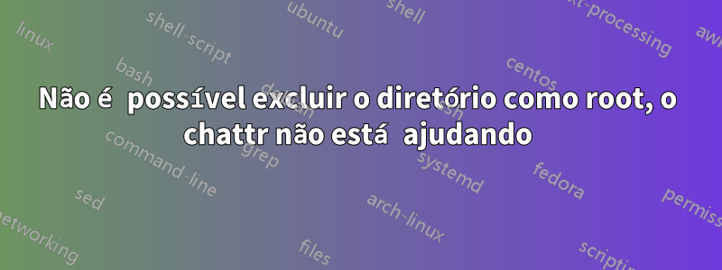 Não é possível excluir o diretório como root, o chattr não está ajudando