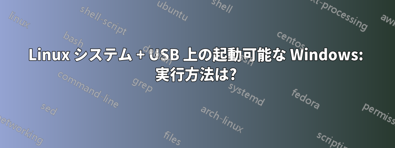 Linux システム + USB 上の起動可能な Windows: 実行方法は?