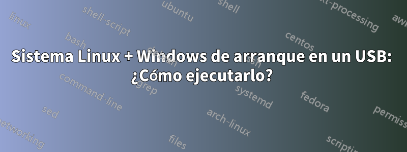 Sistema Linux + Windows de arranque en un USB: ¿Cómo ejecutarlo?