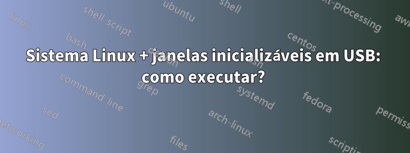 Sistema Linux + janelas inicializáveis ​​em USB: como executar?