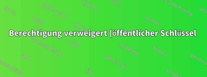 Berechtigung verweigert (öffentlicher Schlüssel) beim Versuch, über das Internet eine Verbindung zum Server herzustellen