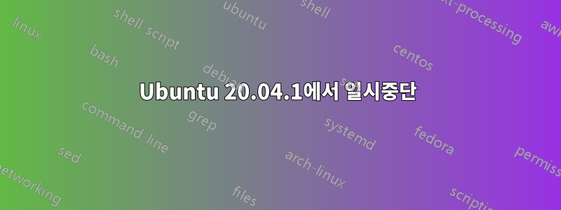 Ubuntu 20.04.1에서 일시중단