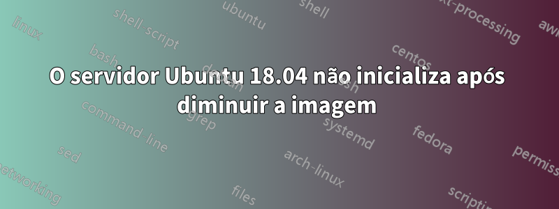 O servidor Ubuntu 18.04 não inicializa após diminuir a imagem