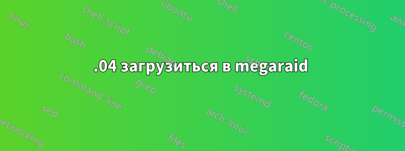 20.04 загрузиться в megaraid