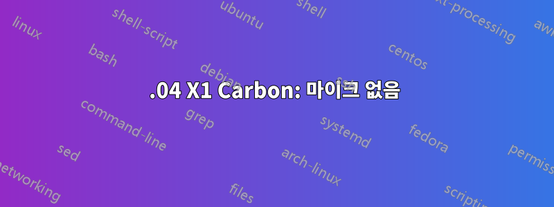 20.04 X1 Carbon: 마이크 없음