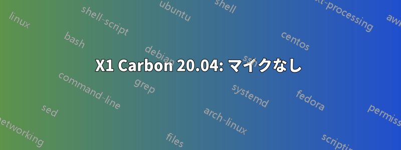X1 Carbon 20.04: マイクなし