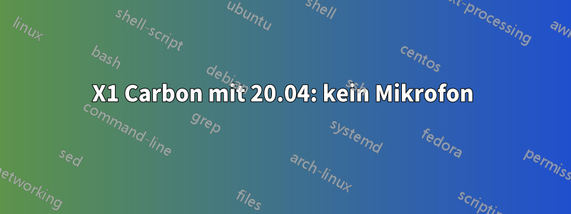 X1 Carbon mit 20.04: kein Mikrofon