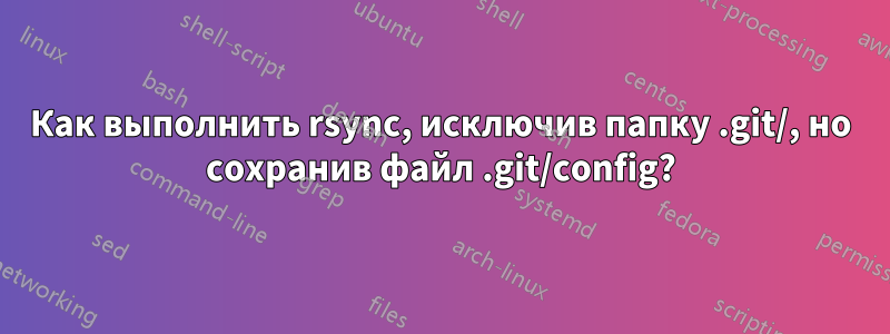 Как выполнить rsync, исключив папку .git/, но сохранив файл .git/config?