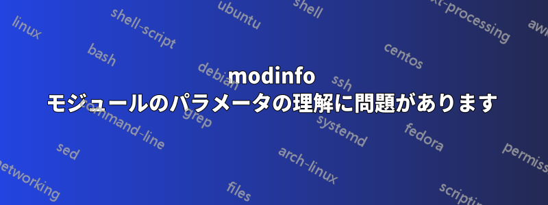 modinfo モジュールのパラメータの理解に問題があります