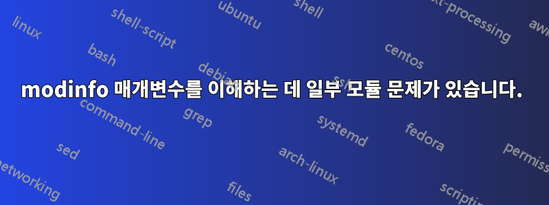 modinfo 매개변수를 이해하는 데 일부 모듈 문제가 있습니다.