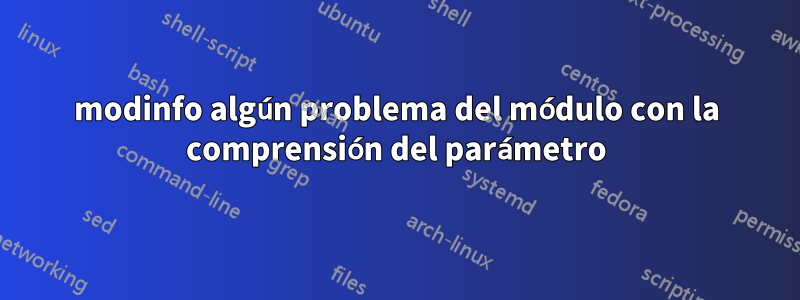 modinfo algún problema del módulo con la comprensión del parámetro