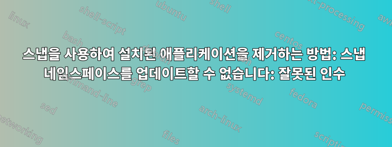 스냅을 사용하여 설치된 애플리케이션을 제거하는 방법: 스냅 네임스페이스를 업데이트할 수 없습니다: 잘못된 인수