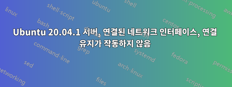 Ubuntu 20.04.1 서버, 연결된 네트워크 인터페이스, 연결 유지가 작동하지 않음