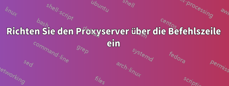 Richten Sie den Proxyserver über die Befehlszeile ein